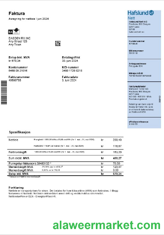 Norway Hafslund business utility bill Word and PDF template